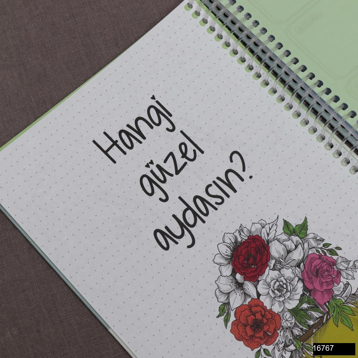 Motivasyon Ajandasi Pencere