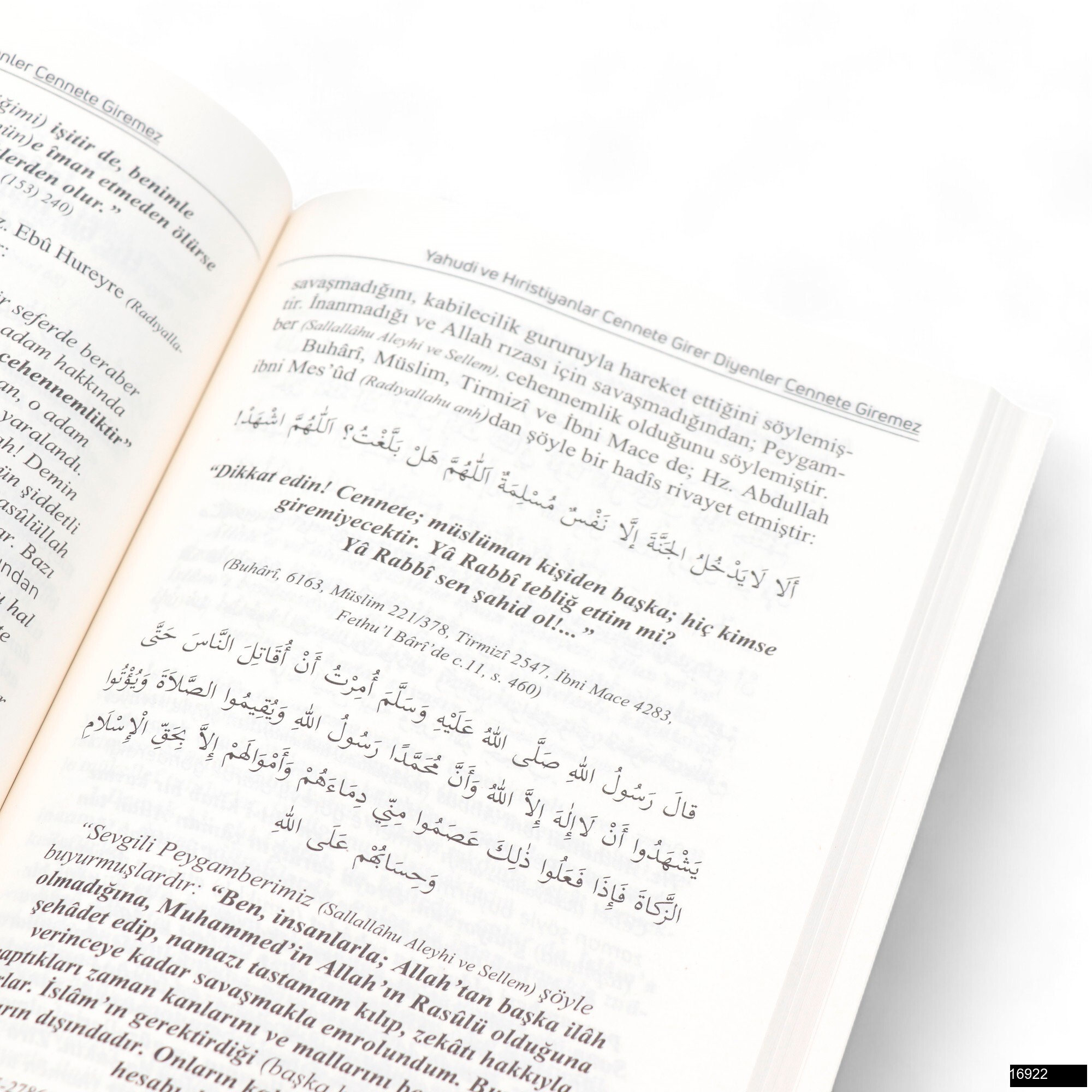 Mustafa Akten Yahudi Ve Hiristiyanlar Cennete Girer Diyenler Cennete Giremez